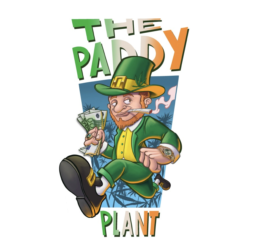The Paddy Plant